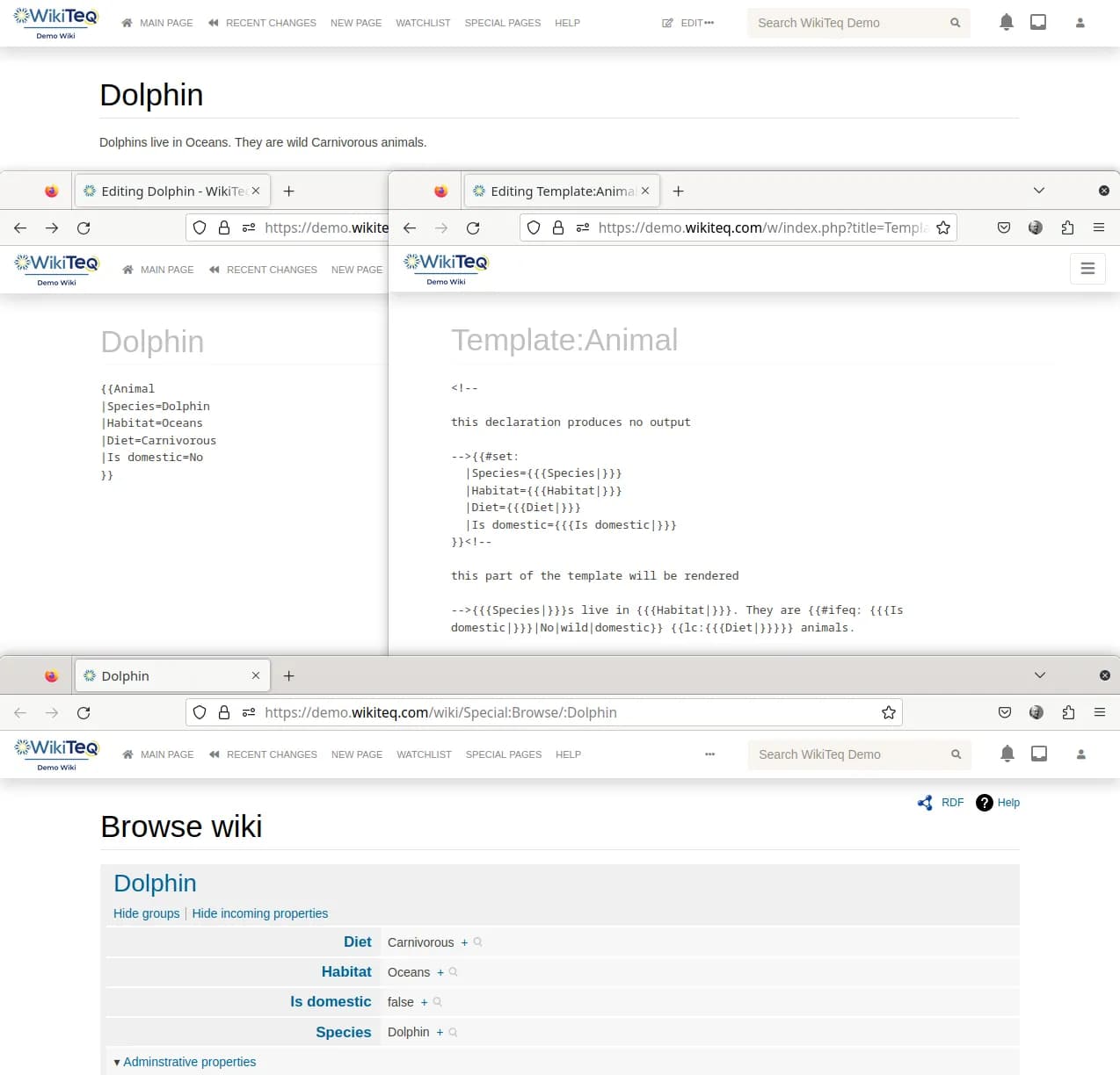 semantic template example