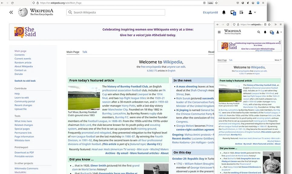 vector wikipedia's skin with adjustments